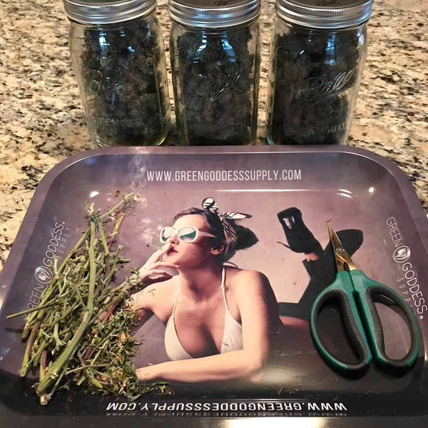 Extra Large 14" x 12" Trimming Tray (Rolling Tray)